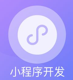软件开发